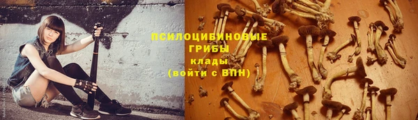 ECSTASY Баксан